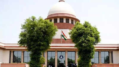 Plea in Supreme Court challenges Assam’s ‘push back’ drive against alleged foreigners | India News