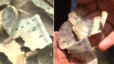 Liquor fuelled fire at judge’s house that burnt cash: Report | India News