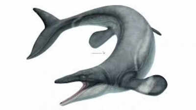 Ancient 24-foot ‘sea dragon’ Jormungander: Terrifying mosasaur that ruled oceans 80 million years ago |