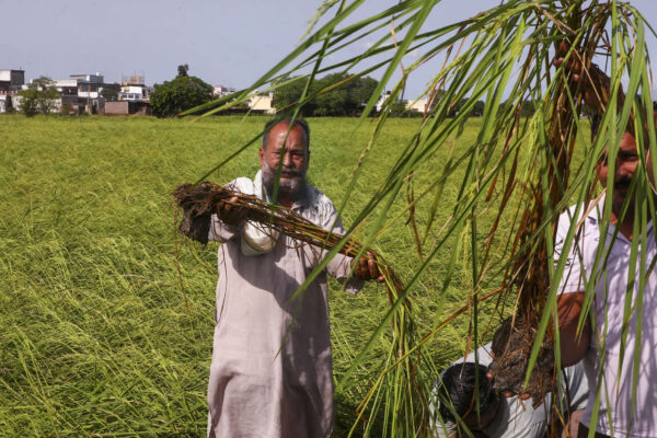 Flood-hit farmers in Maha to get Rs 31k crore