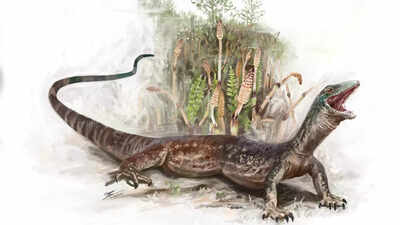 167-million-year-old fossil of Breugnathair elgolensis reveals how snakes first evolved from lizards |
