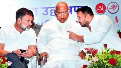 Bihar polls will test opposition’s resilience at national level | India News