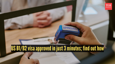 B1/B2 visa approved in just 3 minutes: Inside a remarkably smooth US visa interview |